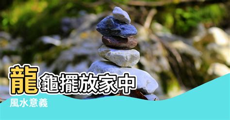 龍龜擺放位置|龍龜的功效、風水意義、擺放方式、供養禁忌和注意事項，該知道。